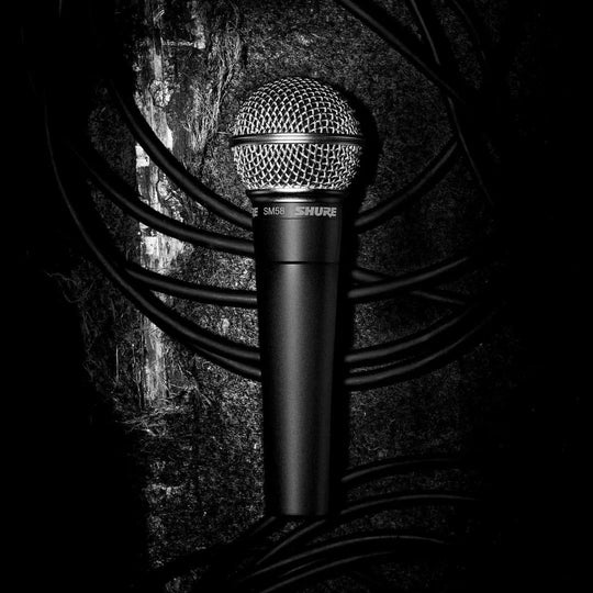 Shure SM58